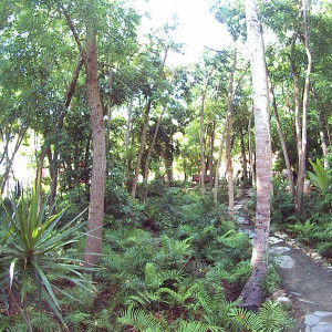 República Dominicana - Punta Cana - Grand Palladium Bávaro
