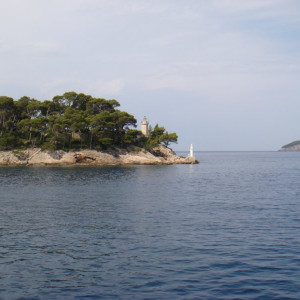 DSC03653
