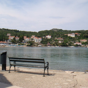 DSC03664
