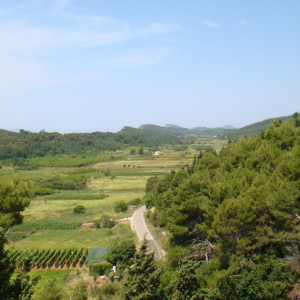 DSC03676