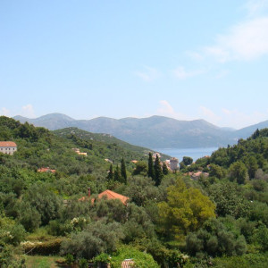 DSC03677