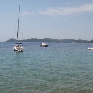 DSC03687