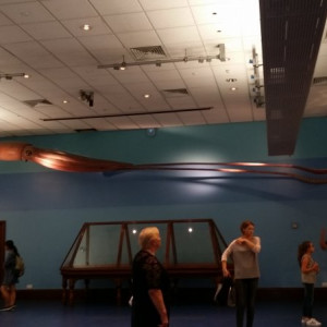 20160828_162552