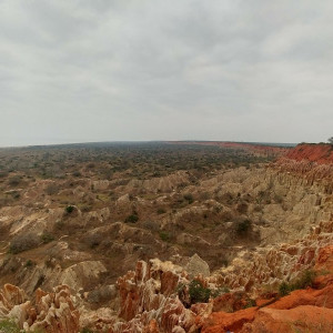 Parque Nacional Da Quissama (14)