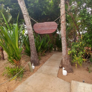 Parque Nacional Da Quissama (16)