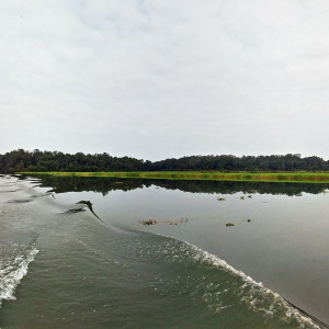 Parque Nacional Da Quissama (21)