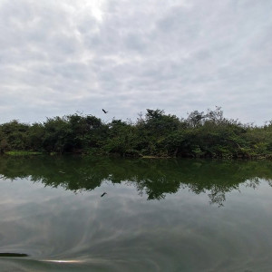 Parque Nacional Da Quissama (22)