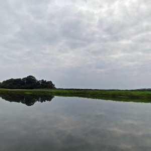 Parque Nacional Da Quissama (23)