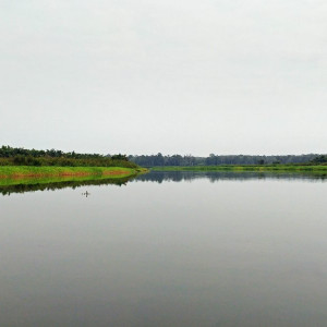 Parque Nacional Da Quissama (24)