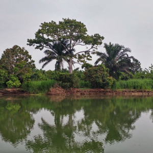 Parque Nacional Da Quissama (26)