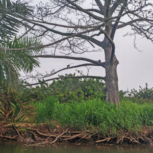 Parque Nacional Da Quissama (28)