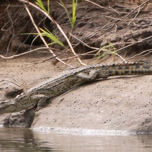 Parque Nacional Da Quissama (30)