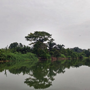 Parque Nacional Da Quissama (31)