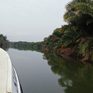 Parque Nacional Da Quissama (33)