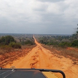 Parque Nacional Da Quissama (42)