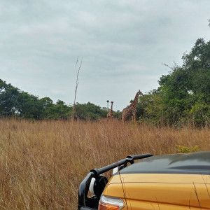 Parque Nacional Da Quissama (43)