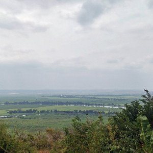 Parque Nacional Da Quissama (50)