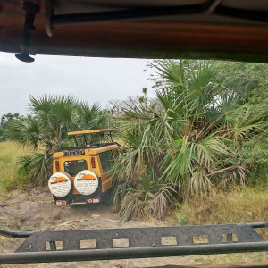 Parque Nacional Da Quissama (53)