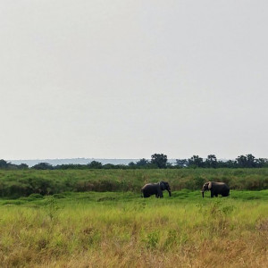 Parque Nacional Da Quissama (56)