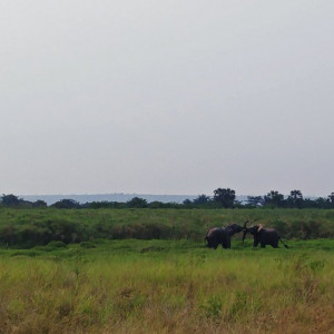 Parque Nacional Da Quissama (57)