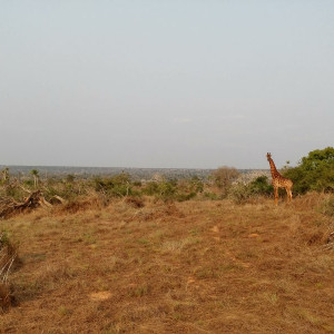 Parque Nacional Da Quissama (66)