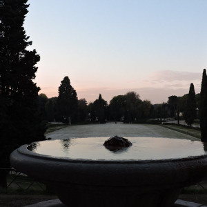DSCN0078