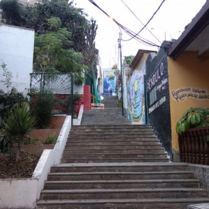 Lima 13