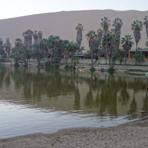 Huacachina 8