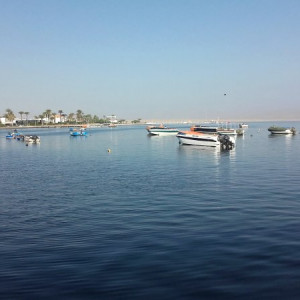 Paracas-Ilha 1