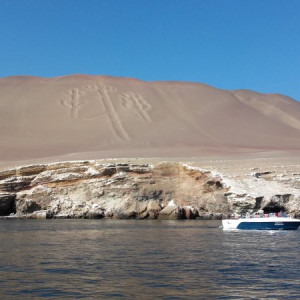 Paracas-Ilha 4