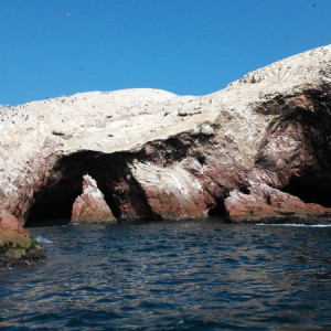 Paracas-Ilha 5