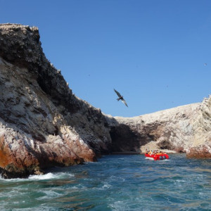 Paracas-Ilha 7
