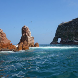 Paracas-Ilha 11