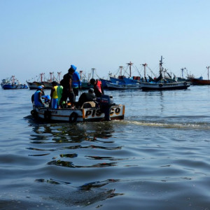 Paracas-Ilha 12