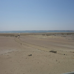 Paracas-Ilha 13