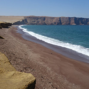 Paracas-Ilha 14