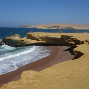 Paracas-Ilha 15