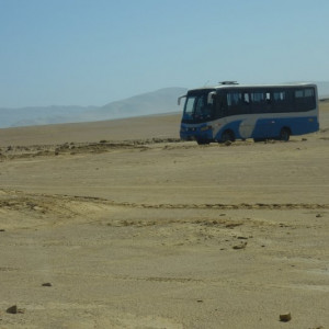 Paracas-Ilha 16