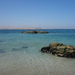 Paracas-Ilha 18