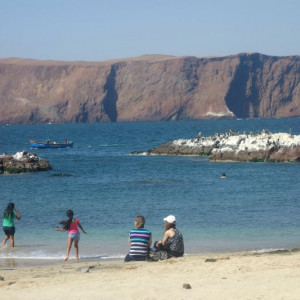Paracas-Ilha 20
