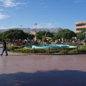 Nazca 7