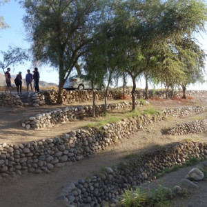 Nazca 8