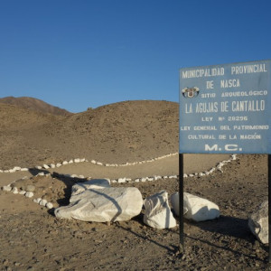 Nazca 10