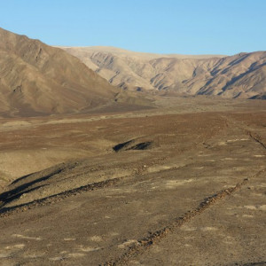 Nazca 11