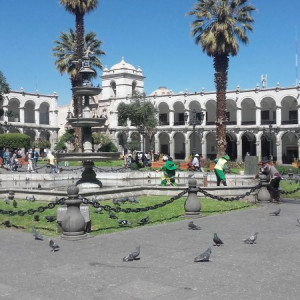 Arequipa 6