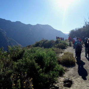 Colca 24