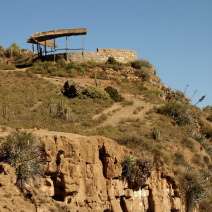 Colca 25
