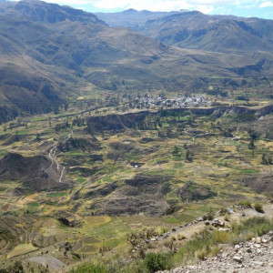 Colca 29