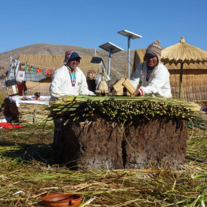 Puno-Lago 5