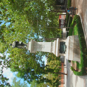 HPIM3079